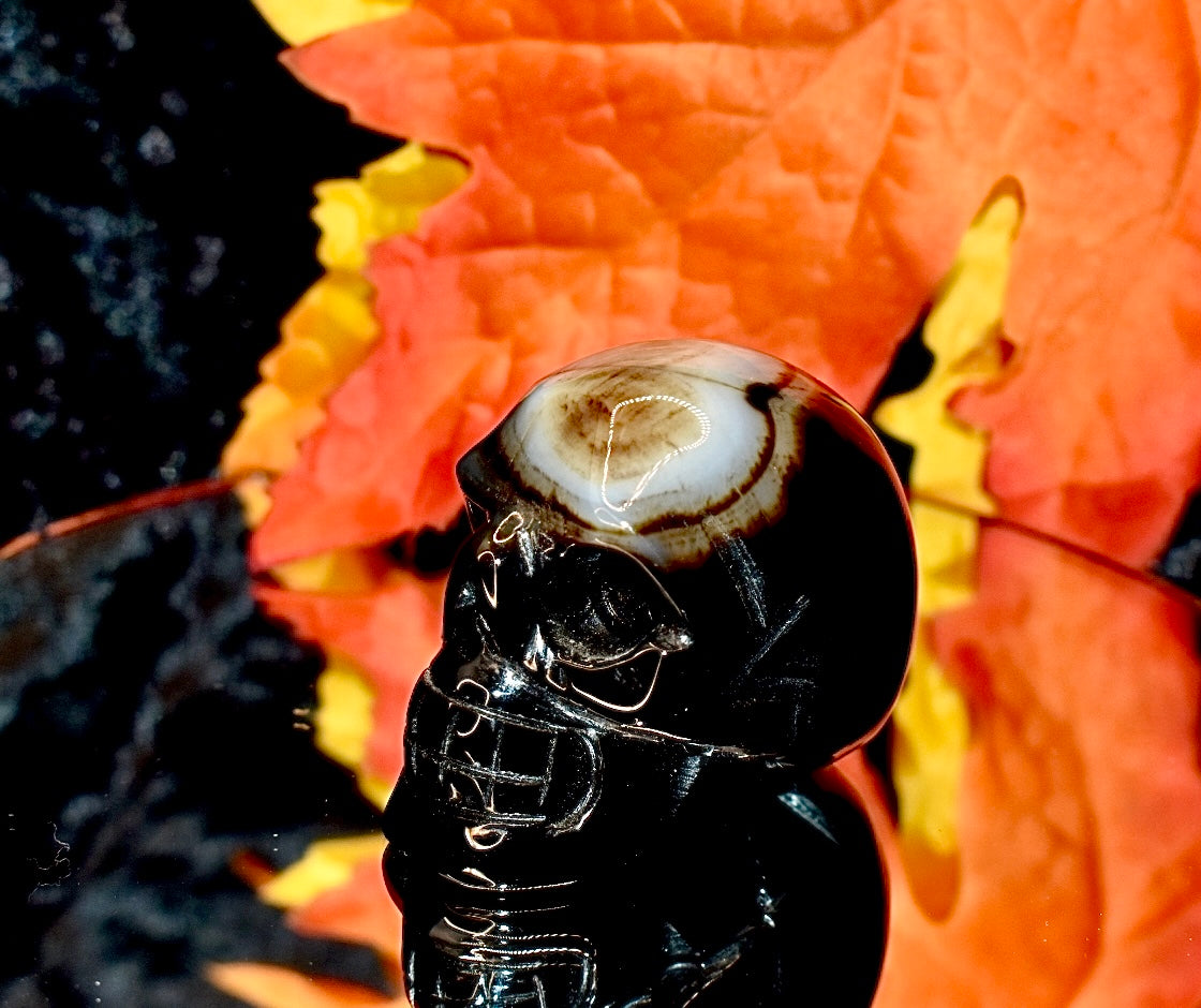 Black Agate Skull