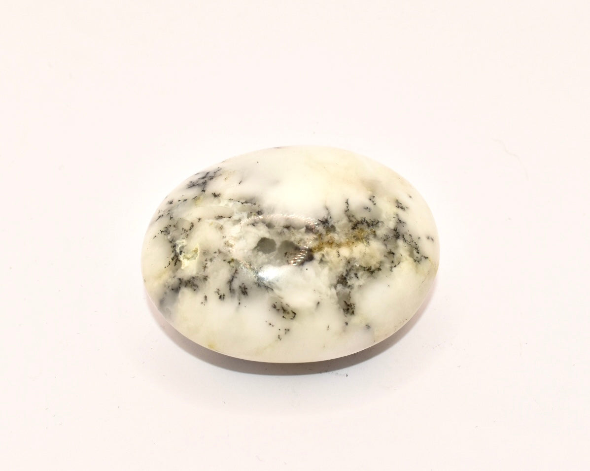 Dendrite Agate Cabochon Crystal