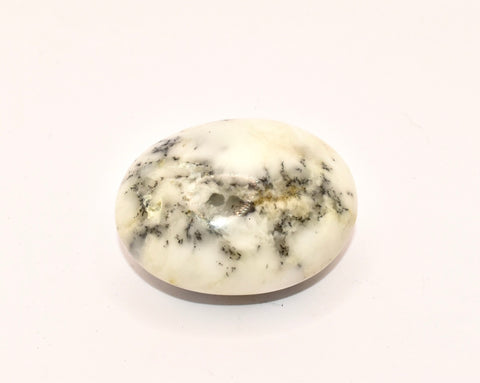 Dendrite Agate Cabochon Crystal