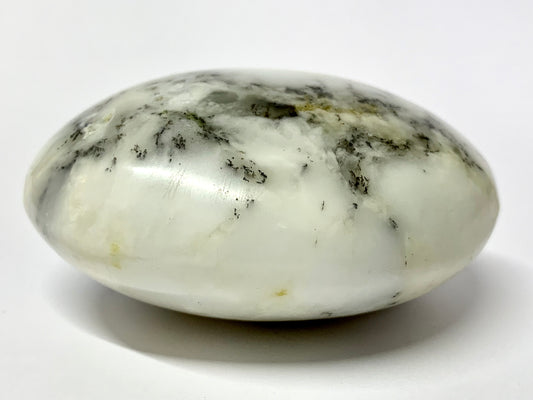 White and Black Dendrite Agate Cabochon Crystal