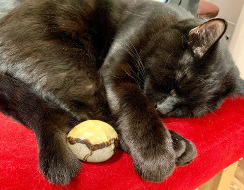 Septarian Cabochon Crystal
